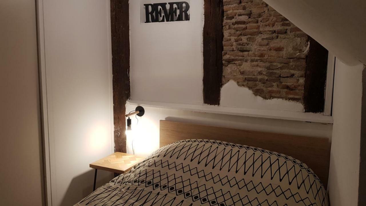 Appartement Avec Cour ★ Spacieux ★ Hyper Centre Castres  Eksteriør bilde