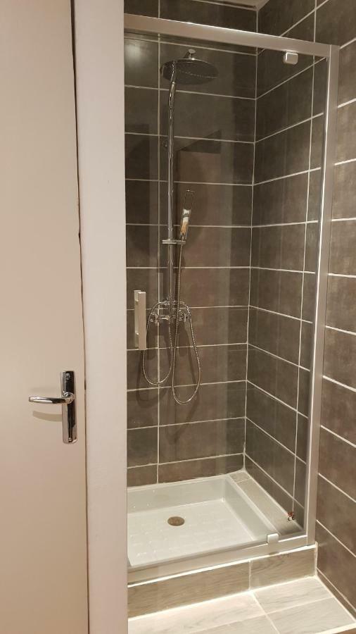 Appartement Avec Cour ★ Spacieux ★ Hyper Centre Castres  Eksteriør bilde